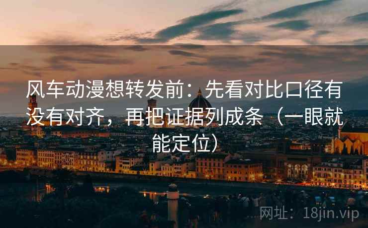 风车动漫想转发前：先看对比口径有没有对齐，再把证据列成条（一眼就能定位）