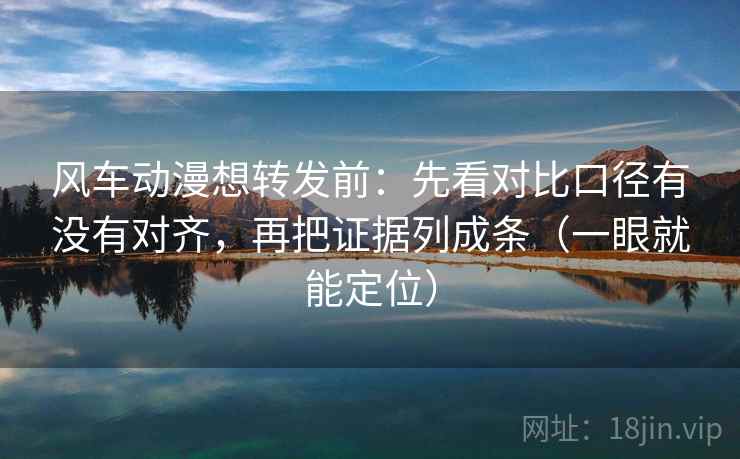 风车动漫想转发前：先看对比口径有没有对齐，再把证据列成条（一眼就能定位）